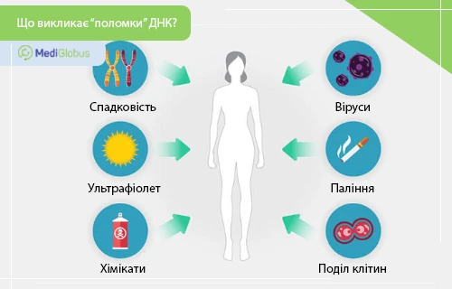 what-causes-genetic-mutations-ukr причини розвитку раку